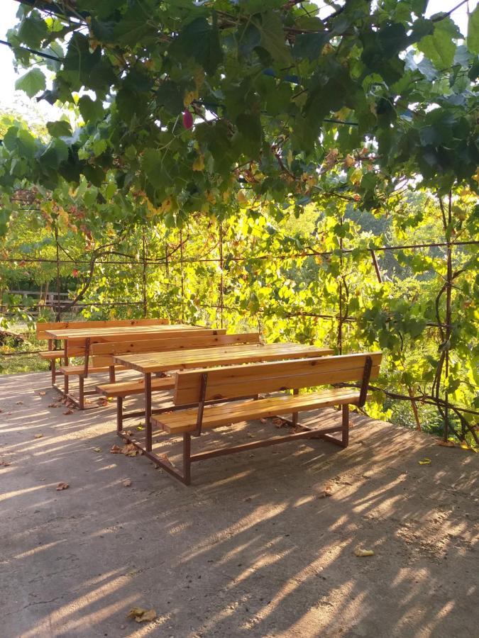 Zalan Vendeghaz Otel Csaszartoltes Dış mekan fotoğraf