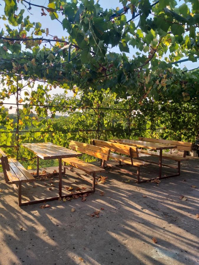 Zalan Vendeghaz Otel Csaszartoltes Dış mekan fotoğraf